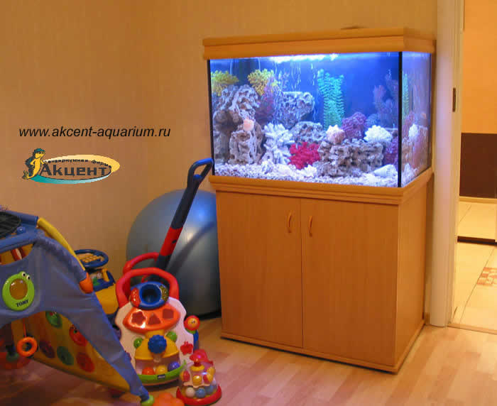 Акцент-аквариум,аквариум 180 литров прямоугольный